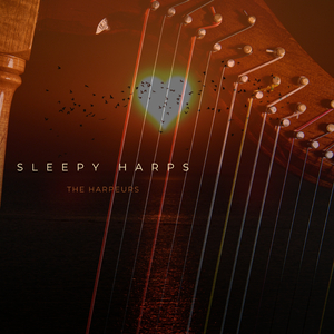 欧美人与动另类XXXX
