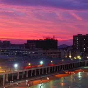 欧美人与动另类XXXX
