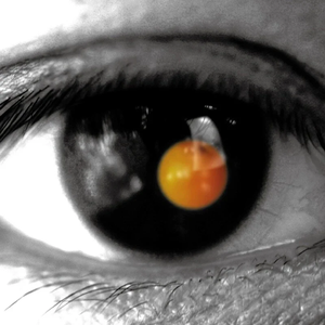 欧美人与动另类XXXX
