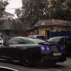 欧美人与动另类XXXX
