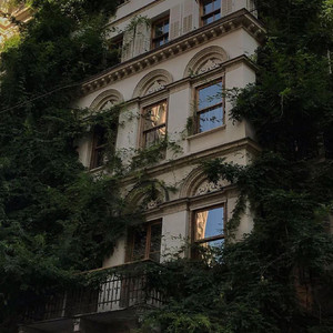 欧美人与动另类XXXX
